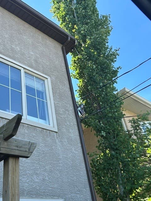 Before: before gutters near ave nw