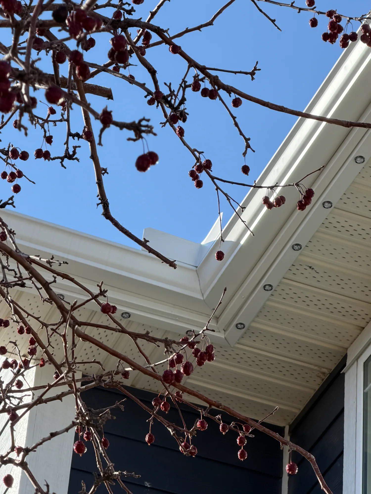 Before: after gutters near covewood green ne