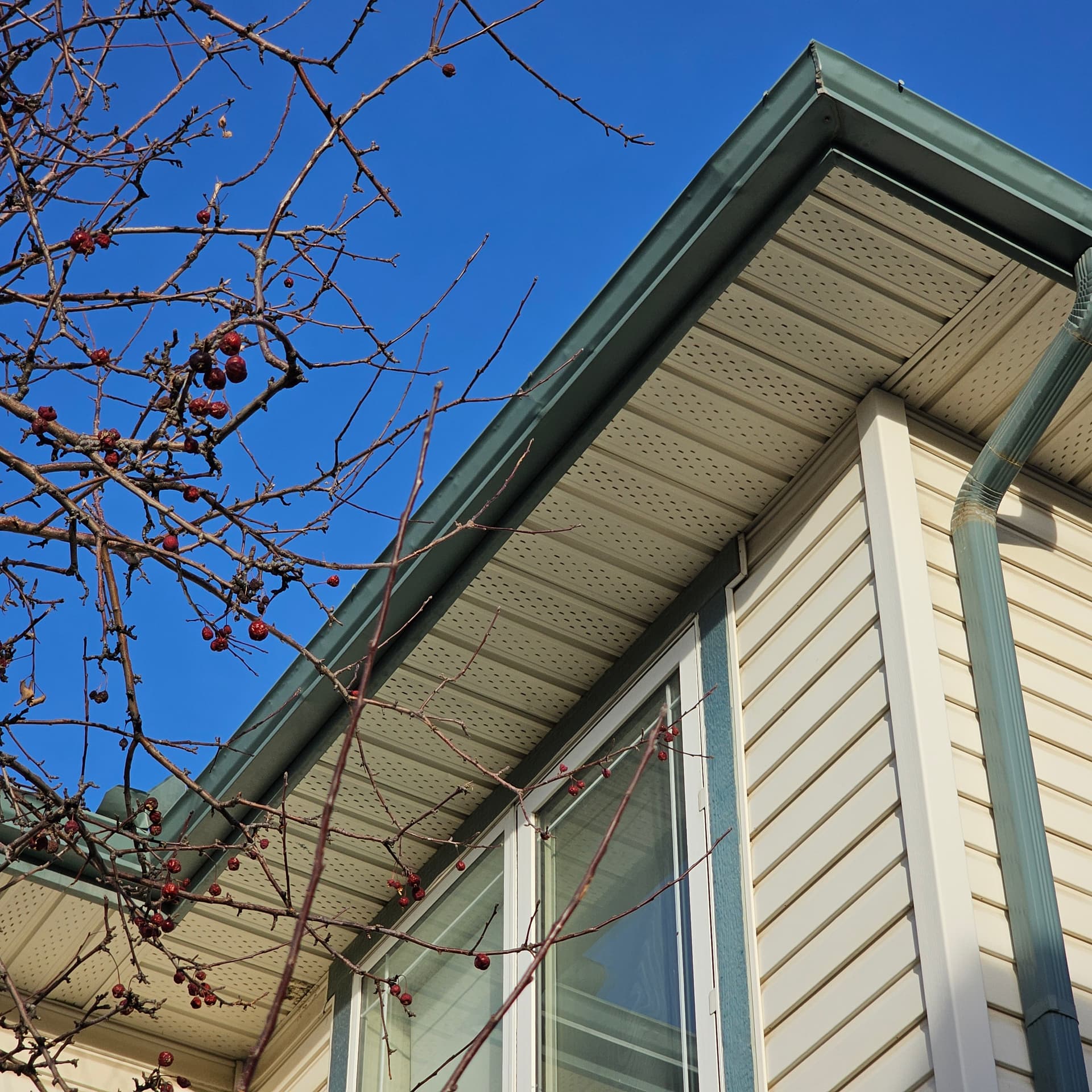 Before: before gutters near covewood green ne