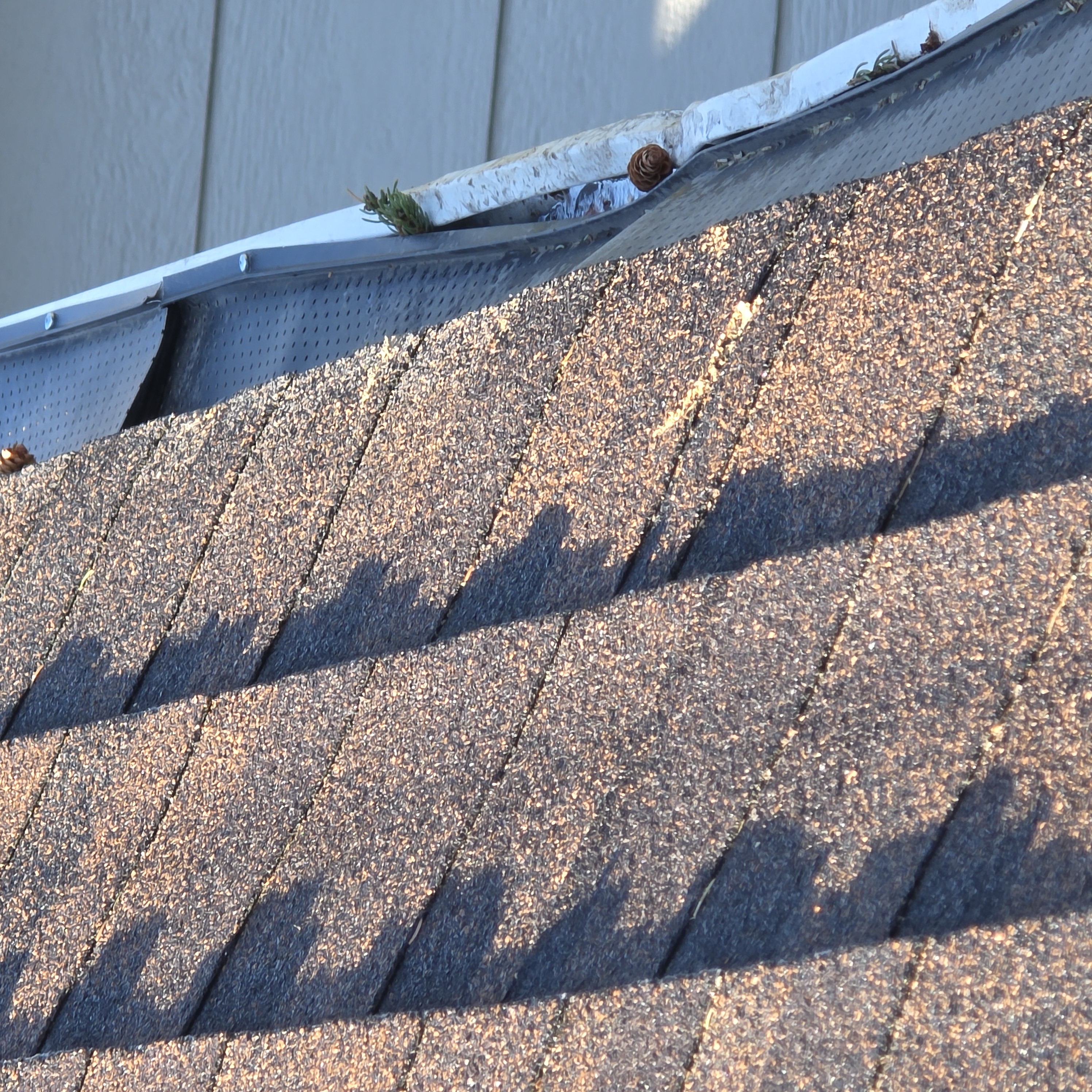 Gutter deformation caused by wind-driven debris and branch contact